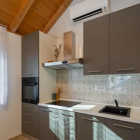 Leoma With Heated Pool * Marusici (Split-Dalmatia)